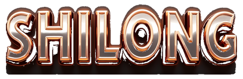 shilong logo